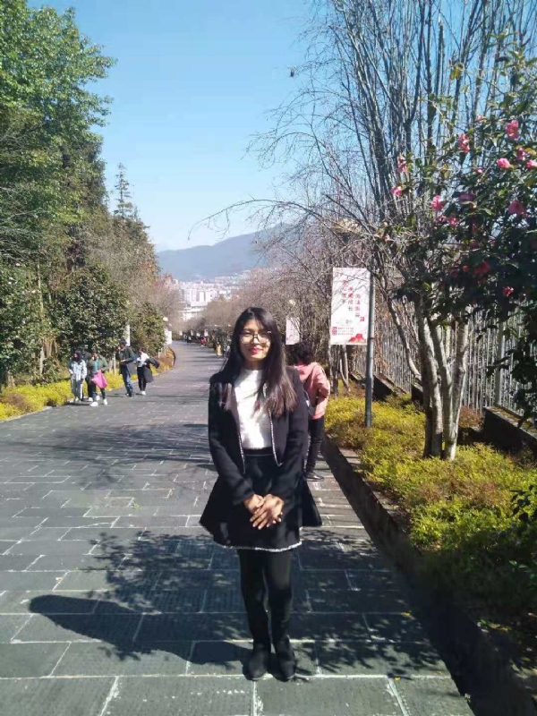 窗台上的桔梗的第一张照片--云南红颜知己交友网