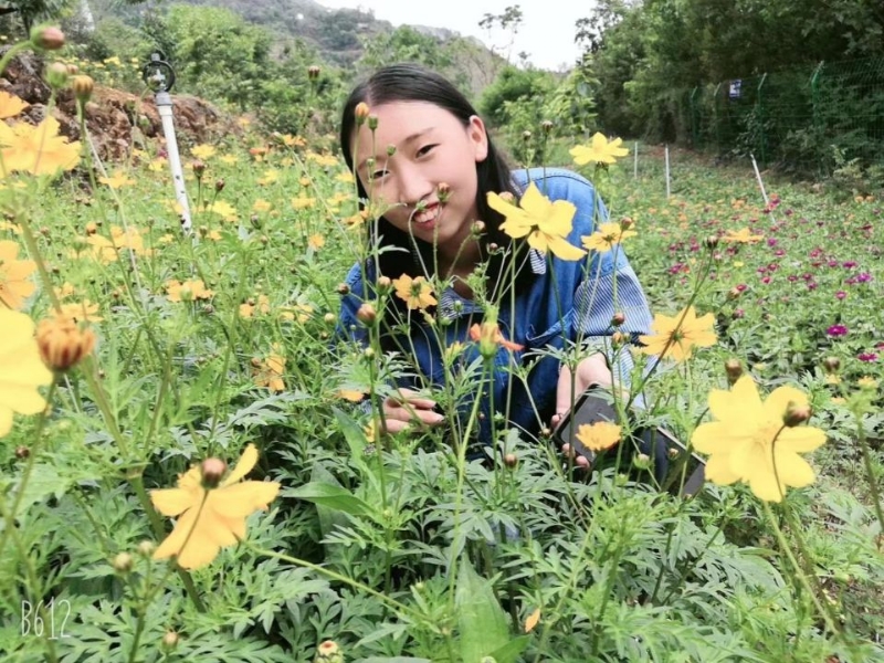 哈哈的第一张照片--云南红颜知己交友网